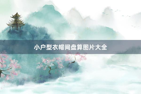 小户型衣帽间盘算图片大全