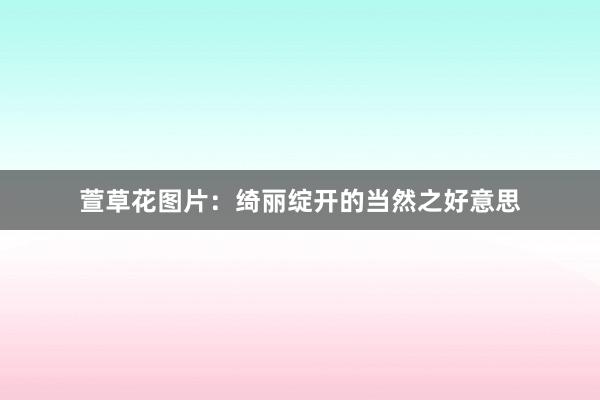 萱草花图片：绮丽绽开的当然之好意思