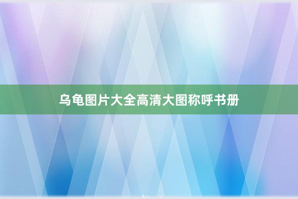 乌龟图片大全高清大图称呼书册