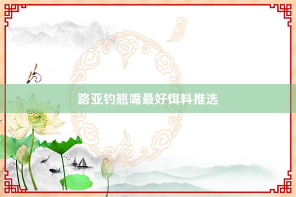 路亚钓翘嘴最好饵料推选